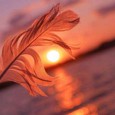 虚拟漂流村庄无敌版